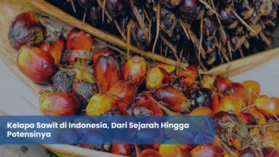Makanan, Haji, Kelapa Sawit, dan Hiu: Empat Cerita Indonesia yang Mengguncang Dunia