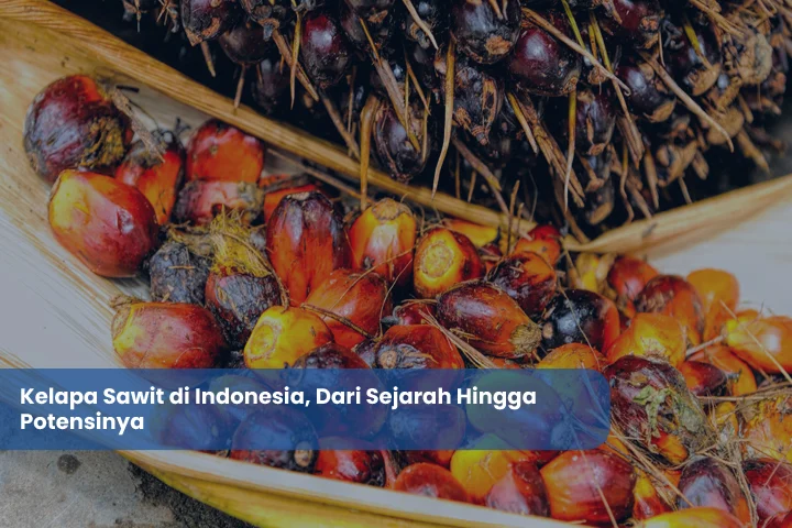 Makanan, Haji, Kelapa Sawit, dan Hiu: Empat Cerita Indonesia yang Mengguncang Dunia