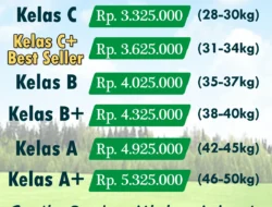 Mau Kurban Tahun Ini? Simak Daftar Harga Kambing dan Sapi 2026