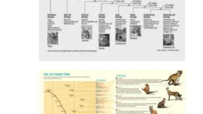 Misteri Gigi Depan Kucing Kecil Terungkap: Fakta Evolusi dan Fungsinya