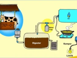 Pelatihan Biogas dari Sampah Makanan di Medan: Upaya Mengurangi Ketergantungan Energi dan Tingkat Kebersihan Kota