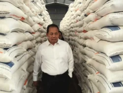 Pemerintah Pastikan Stok Beras 4,6 Juta Ton Aman Hadapi Geopolitik dan El Nino