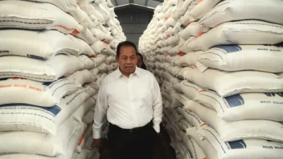 Pemerintah Pastikan Stok Beras 4,6 Juta Ton Aman Hadapi Geopolitik dan El Nino