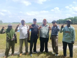 PT Serayu Group Dampingi Investor China Lakukan Survei 5.000 Ha untuk Tanam Pohon Balsa di Kalimantan Barat