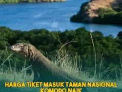 Respons Polemik Kuota Kunjungan, Wisatawan Diimbau Beli Tiket sebelum Masuk Taman Nasional Komodo