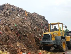 Ribuan Ton Sampah di Pasar Induk Kramat Jati Tuntas Diangkut: Upaya Intensif dan Inovasi Pengelolaan Lingkungan