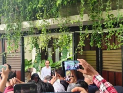 Roblox Bikin Rumah Jokowi Jadi 'Tembok Ratapan Solo', Jokowi Santai: 'Biasa Saja'