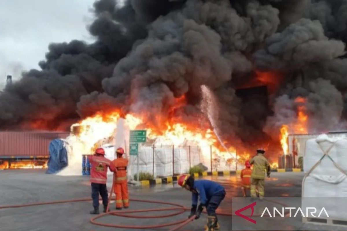 Serangan Drone Ukraina Membakar Refinery Tuapse: Kebakaran Besar, Korban, dan Tumpahan Minyak di Krasnodar