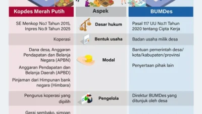 Status Pegawai BUMN: Pemerintah Rekrut 30 Ribu Manajer Kopdes Merah Putih