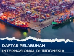 Sydney live: Kilau Seni, Film Internasional, dan Inovasi Hospitality di Kota Pelabuhan