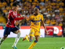 Tigres Hancurkan Chivas 4-1, Namun Rebaño Sagrado Tetap Pimpin Klasemen Liga MX Clausura 2026
