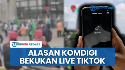 TikTok Takedown 780 Ribu Akun Anak, Roblox Masih Diminta Patuh Komdigi
