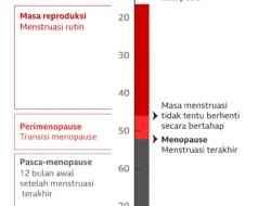 Top Berita Gaya: Fakta Covid Cicada, Perimenopause, dan Panduan Period Cycle 101