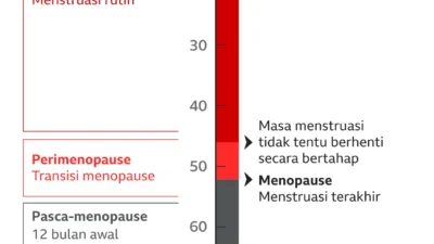 Top Berita Gaya: Fakta Covid Cicada, Perimenopause, dan Panduan Period Cycle 101