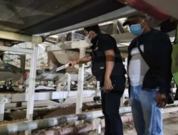 Tragedi Kerja di Pabrik Semen Bayah Lebak, Pekerja Tewas Terjepit Mesin Conveyor