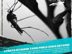 Varian Cicada: Fakta Menyeluruh, Gejala, dan Langkah Pencegahan yang Wajib Anda Ketahui