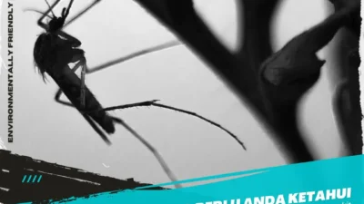 Varian Cicada: Fakta Menyeluruh, Gejala, dan Langkah Pencegahan yang Wajib Anda Ketahui