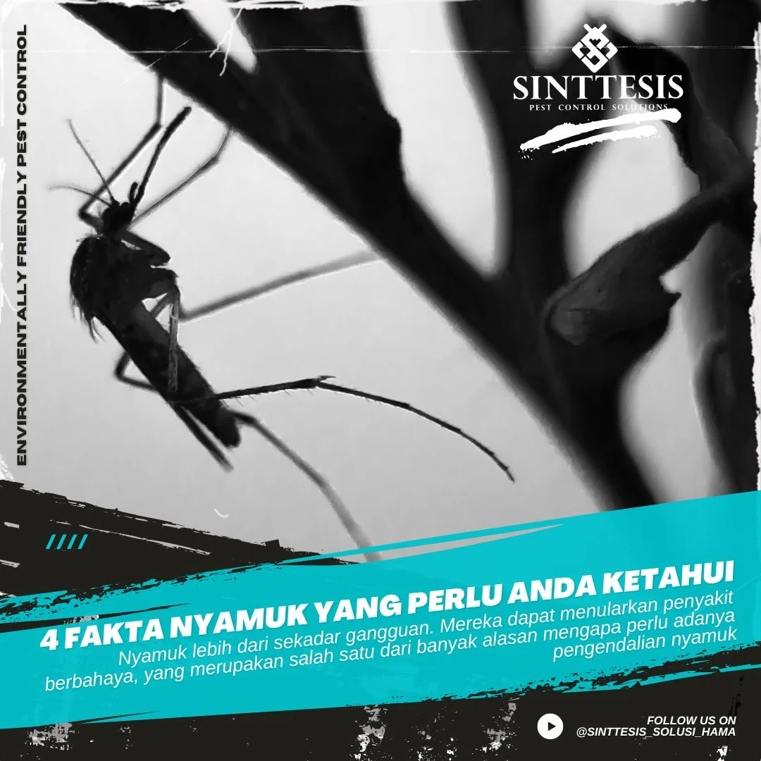 Varian Cicada: Fakta Menyeluruh, Gejala, dan Langkah Pencegahan yang Wajib Anda Ketahui