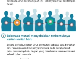Varian Covid "Cicada" Muncul Lagi, Ini Fakta Terbarunya!