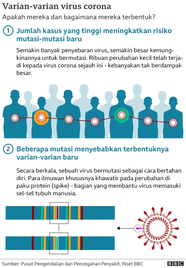 Varian Covid "Cicada" Muncul Lagi, Ini Fakta Terbarunya!