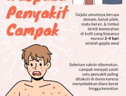 Waspada Campak pada Dewasa: Risiko Kesehatan Tinggi, Beban Ekonomi Juga Mengintai