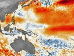 Waspada Fenomena El Nino Godzilla, Ini Hal-hal yang Harus Kamu Tahu!