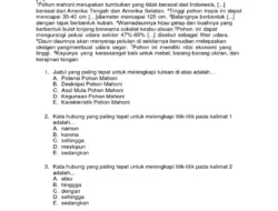 Yuk Belajar Contoh Soal Kemampuan Memahami Bacaan dan Menulis UTBK 2026