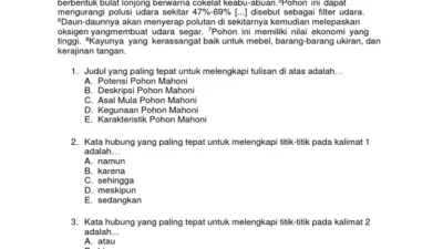 Yuk Belajar Contoh Soal Kemampuan Memahami Bacaan dan Menulis UTBK 2026