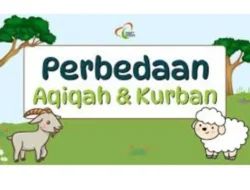 Berqurban Sebelum Aqiqah: Apa Kata Ulama dan Panduan Praktis