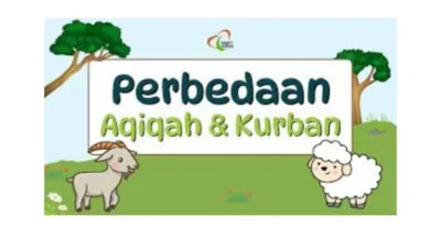 Berqurban Sebelum Aqiqah: Apa Kata Ulama dan Panduan Praktis