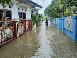 BMKG Peringatkan Banjir Rob Ancam Pesisir Utara Jakarta hingga 21 Mei 2026, Warga Diminta Waspadai