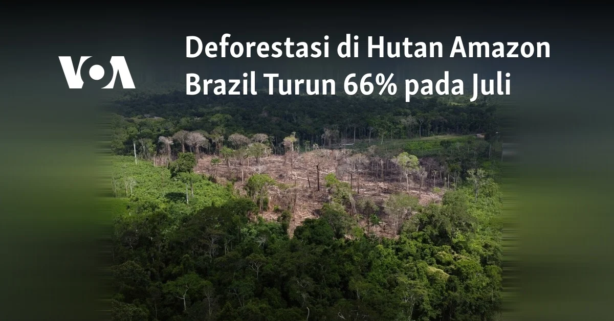 Brazil Berhasil Mengurangi Deforestasi di Amazon, Namun Degradasi Hutan Tetap Menjadi Ancaman