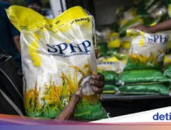 Bulog Tebar 828.000 Ton Beras SPHP, Jaga Harga Pasar Tetap di Bawah Rp 13.500 per Kg
