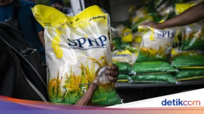 Bulog Tebar 828.000 Ton Beras SPHP, Jaga Harga Pasar Tetap di Bawah Rp 13.500 per Kg
