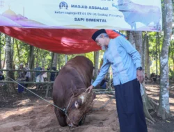 Bupati Jaya Monong Serahkan 6 Sapi Qurban Tewah, Dukungan Pemerintah Tingkat Provinsi & Nasional Terpadu
