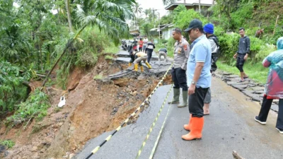 Bupati Karolin Tinjau Langsung Akses Jalan Terputus Akibat Longsor di Landak