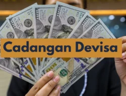 Cadangan Devisa