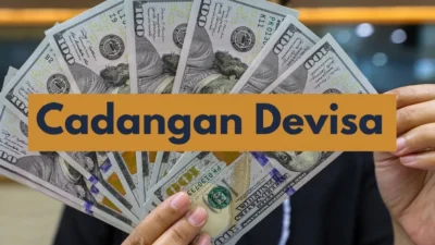 Cadangan Devisa