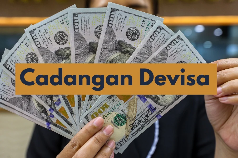 Cadangan Devisa