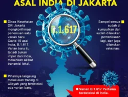 Dinkes DKI Jakarta Temukan 3 Kasus Positif Hantavirus, 6 Suspek Masih Dipantau, Masyarakat Diminta Waspada
