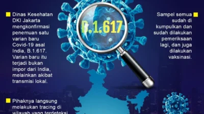 Dinkes DKI Jakarta Temukan 3 Kasus Positif Hantavirus, 6 Suspek Masih Dipantau, Masyarakat Diminta Waspada