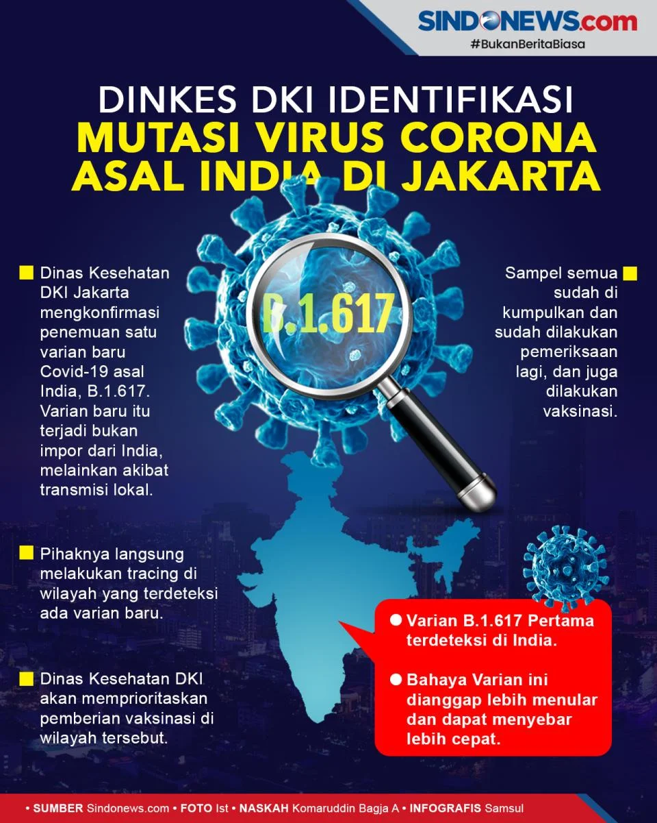 Dinkes DKI Jakarta Temukan 3 Kasus Positif Hantavirus, 6 Suspek Masih Dipantau, Masyarakat Diminta Waspada