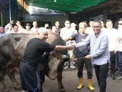 Gemilang di Idul Adha 2026: LDII Mojokerto Salurkan Ratusan Hewan Kurban, Membawa Kebahagiaan bagi Masyarakat