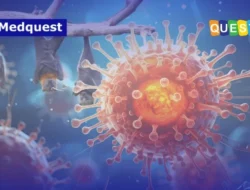 Hantavirus, Ancaman Baru yang Mengintai: Apa yang Perlu Anda Ketahui?