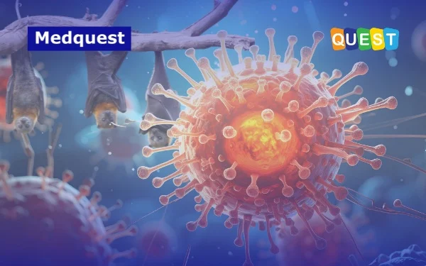 Hantavirus, Ancaman Baru yang Mengintai: Apa yang Perlu Anda Ketahui?