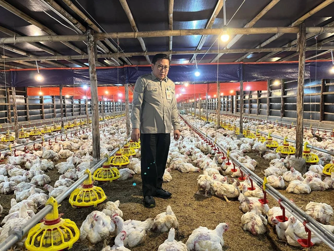 Harga Ayam dan Telur di Peternak Anjlok, Bapanas Lakukan Intervensi untuk Stabilisasi Harga
