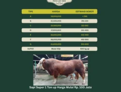 Harga Kambing & Sapi Kurban di Masjid Istiqlal Idul Adha 2026, Pilihan Tepat untuk Ibadah Kurban