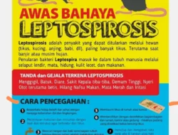 [HOAKS atau FAKTA]: Hantavirus Adalah Rekayasa dan Bohongan, Benarkah?