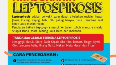 [HOAKS atau FAKTA]: Hantavirus Adalah Rekayasa dan Bohongan, Benarkah?