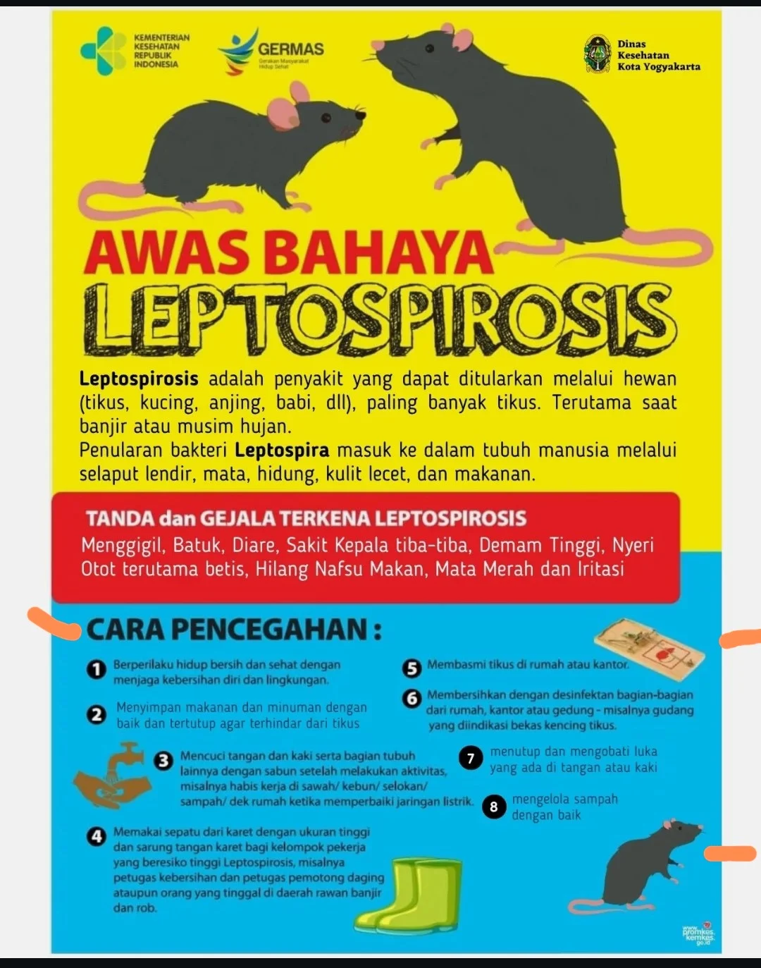 [HOAKS atau FAKTA]: Hantavirus Adalah Rekayasa dan Bohongan, Benarkah?